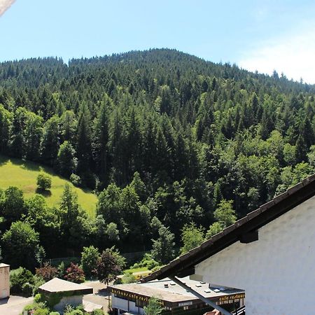 Ferienwohnung Schwarzwaldblick Bad Rippoldsau-Schapbach Exteriör bild