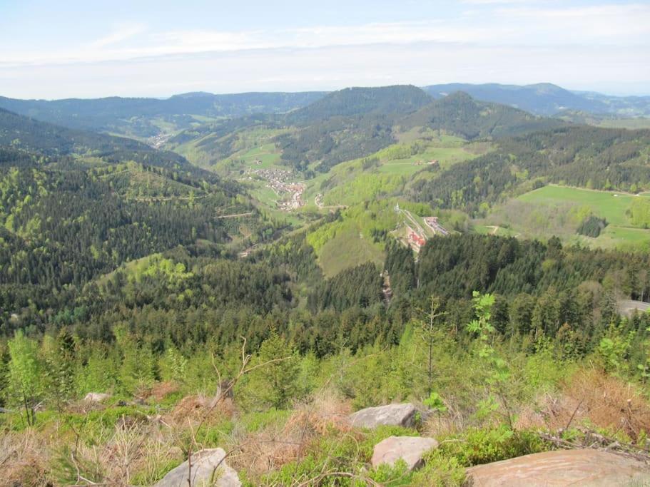Ferienwohnung Schwarzwaldblick Bad Rippoldsau-Schapbach Exteriör bild