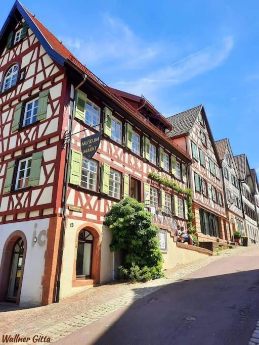 Ferienwohnung Schwarzwaldblick Bad Rippoldsau-Schapbach Exteriör bild