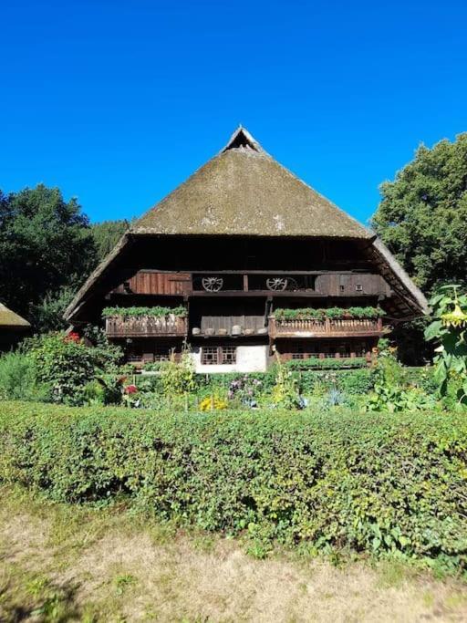 Ferienwohnung Schwarzwaldblick Bad Rippoldsau-Schapbach Exteriör bild
