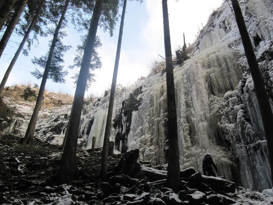 Ferienwohnung Schwarzwaldblick Bad Rippoldsau-Schapbach Exteriör bild
