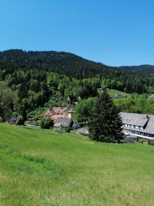 Ferienwohnung Schwarzwaldblick Bad Rippoldsau-Schapbach Exteriör bild