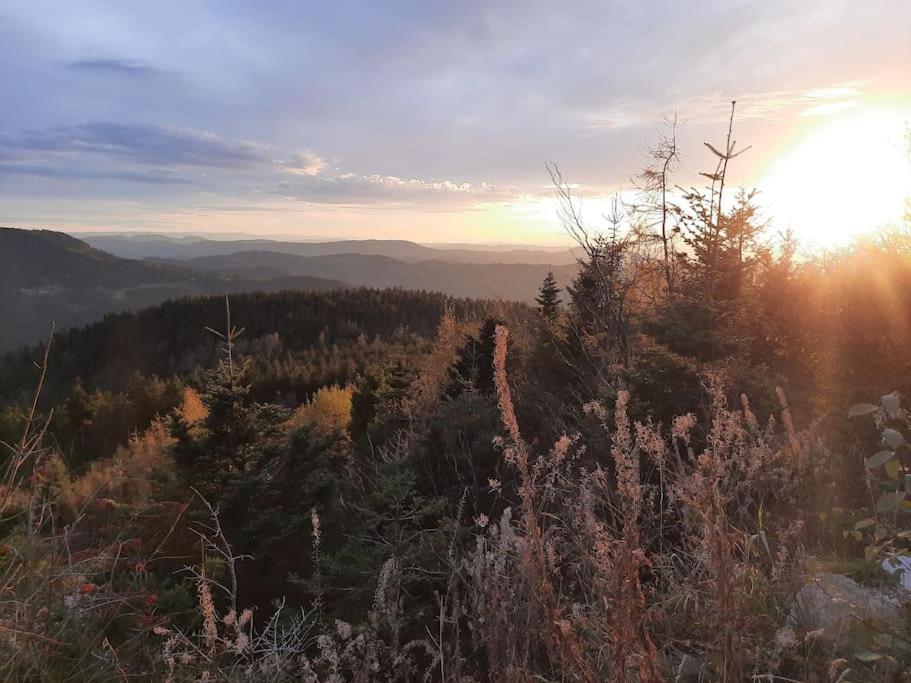 Ferienwohnung Schwarzwaldblick Bad Rippoldsau-Schapbach Exteriör bild