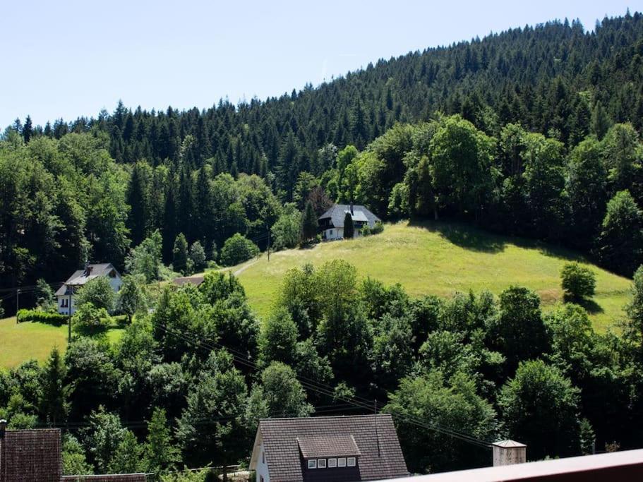 Ferienwohnung Schwarzwaldblick Bad Rippoldsau-Schapbach Exteriör bild