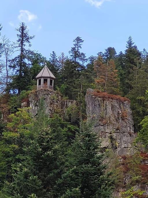 Ferienwohnung Schwarzwaldblick Bad Rippoldsau-Schapbach Exteriör bild