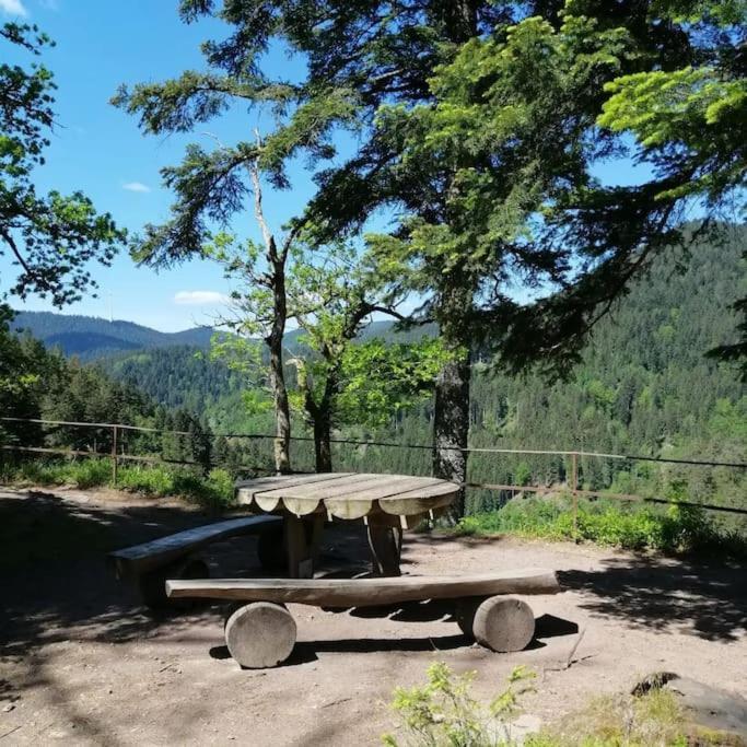 Ferienwohnung Schwarzwaldblick Bad Rippoldsau-Schapbach Exteriör bild