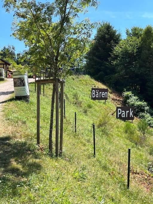 Ferienwohnung Schwarzwaldblick Bad Rippoldsau-Schapbach Exteriör bild