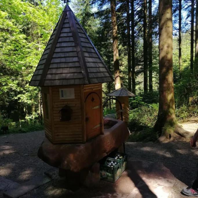 Ferienwohnung Schwarzwaldblick Bad Rippoldsau-Schapbach Exteriör bild