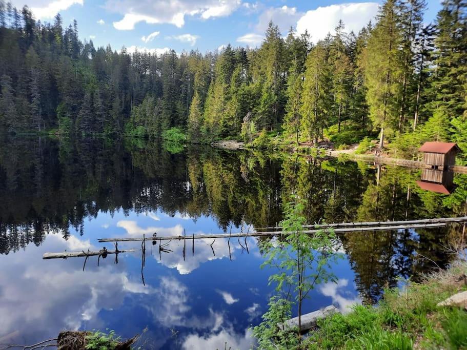 Ferienwohnung Schwarzwaldblick Bad Rippoldsau-Schapbach Exteriör bild