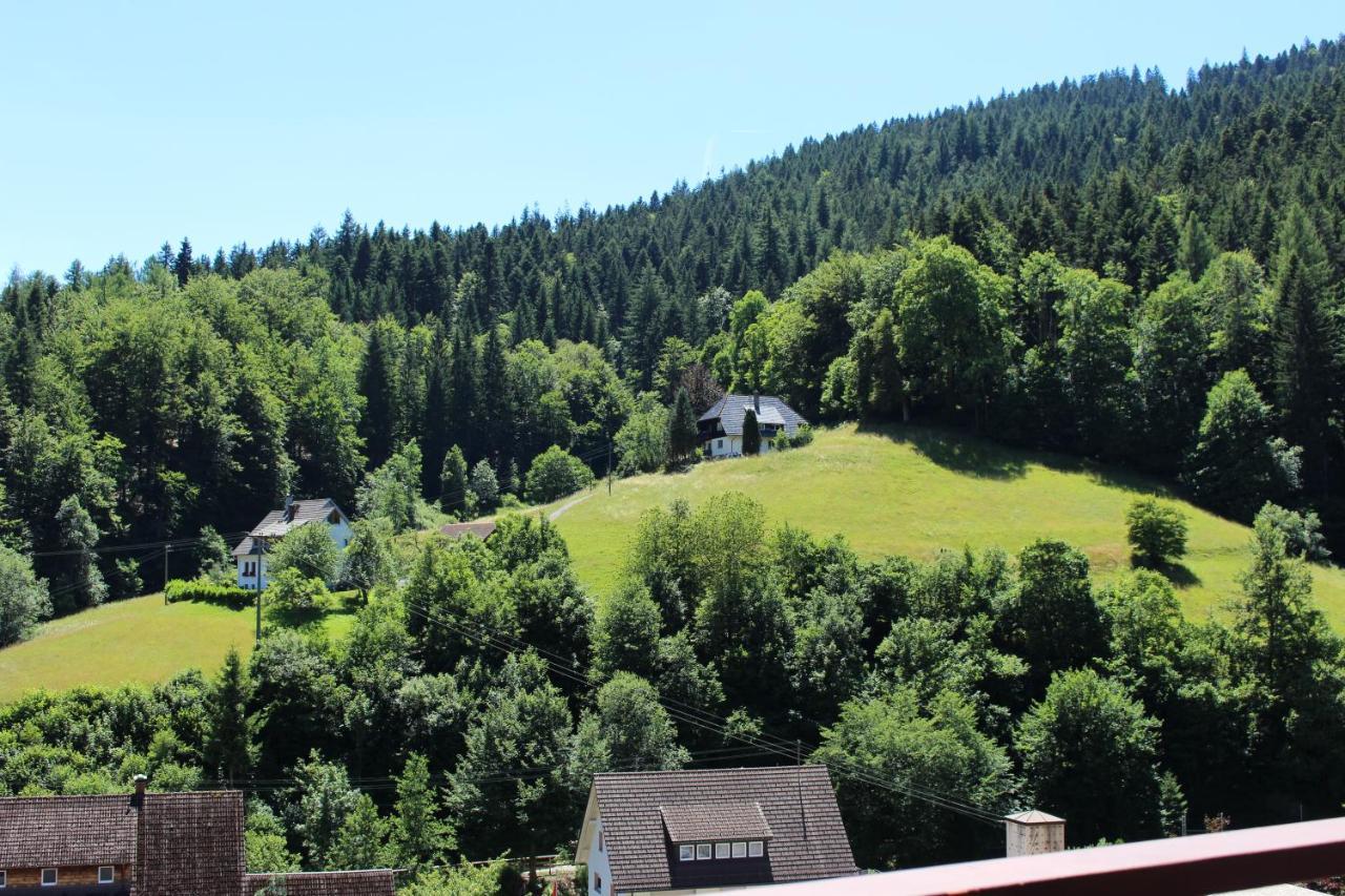 Ferienwohnung Schwarzwaldblick Bad Rippoldsau-Schapbach Exteriör bild